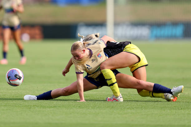 两周时间 两周时间