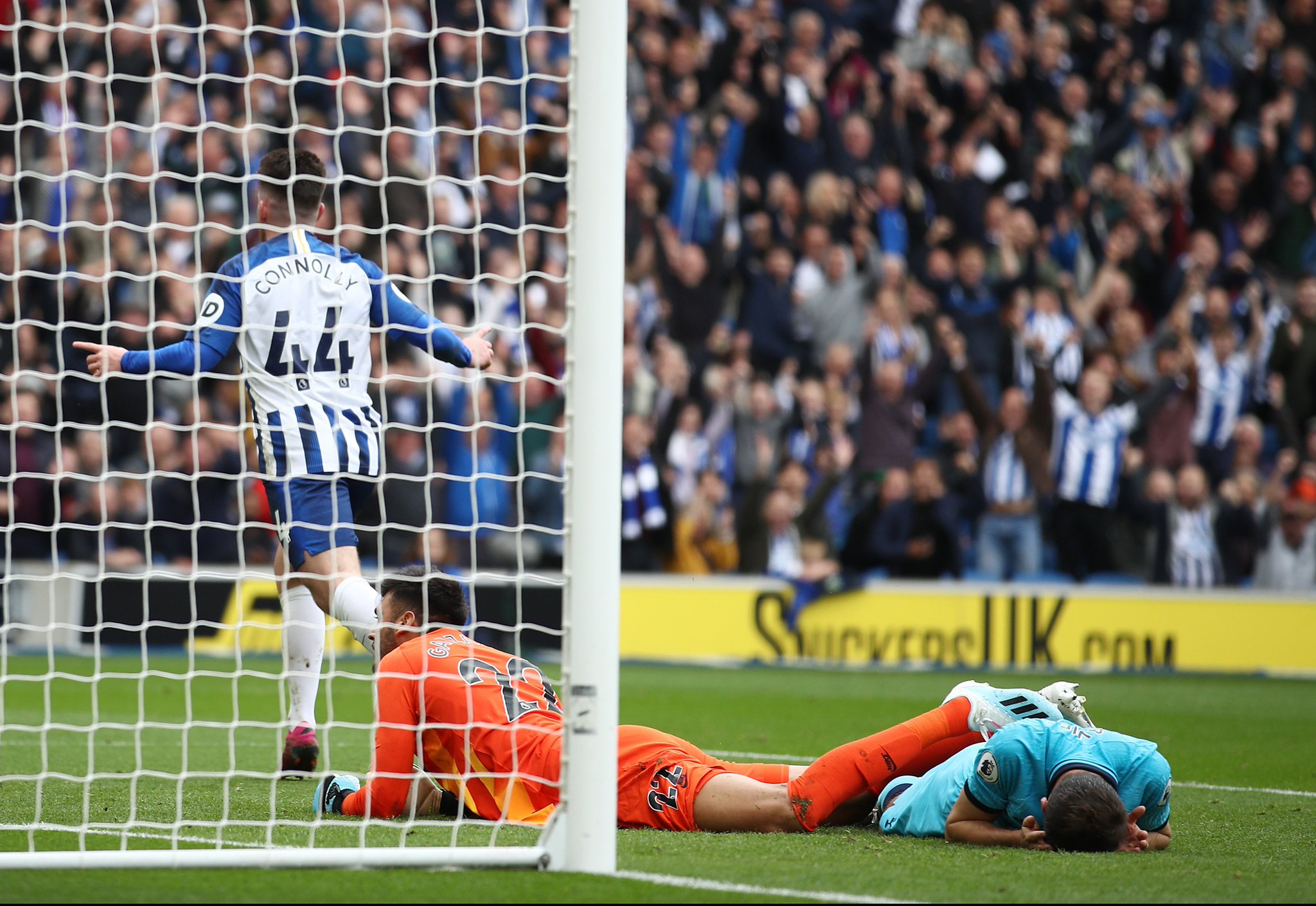 他们已经在 他们已经在